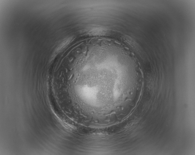 X0000060760586200511101142