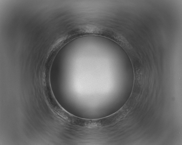 X0000060760587200511101142