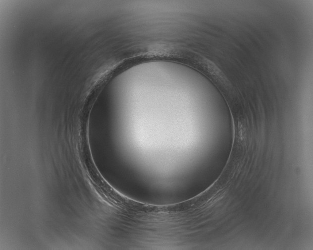 X0000060760588200511101142