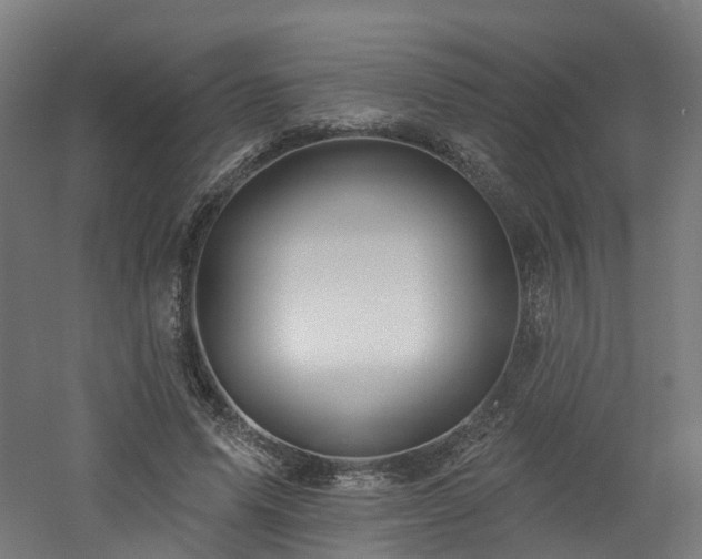 X0000060760591200511101142