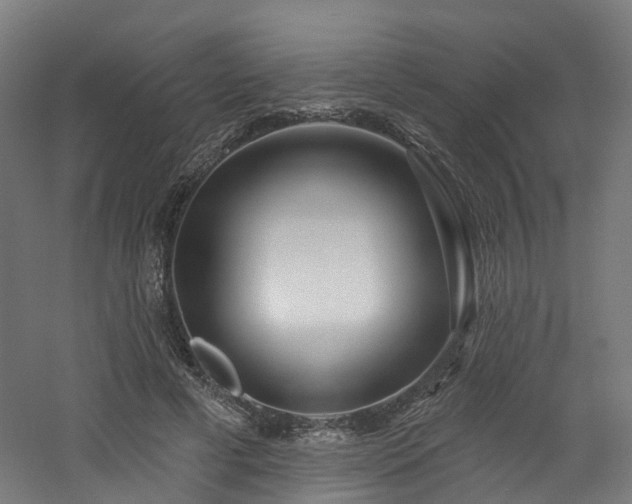 X0000060760593200511101142