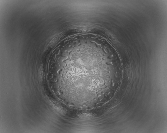 X0000060760594200511101142