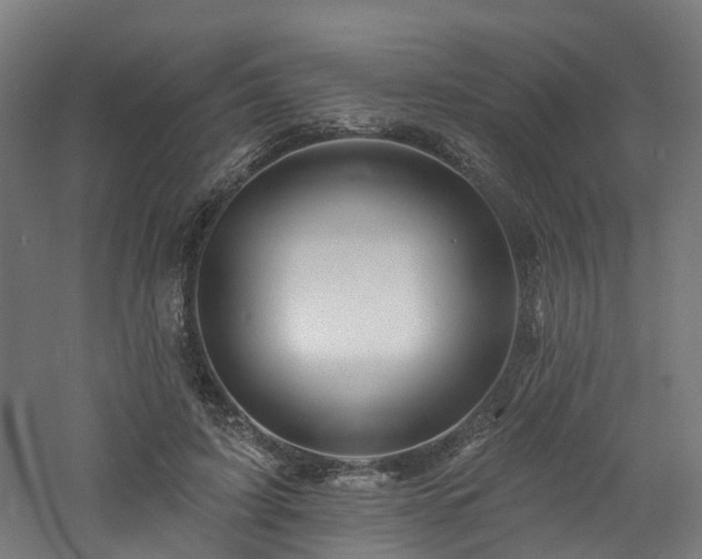 X0000060760595200511101142