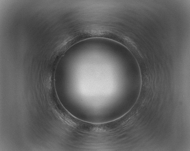 X0000060760596200511101142