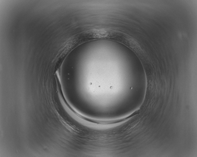 X0000060760598200511101142