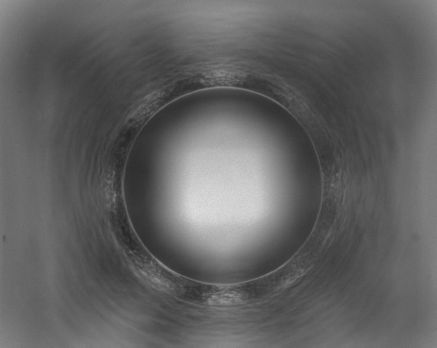 X0000060760599200511101142