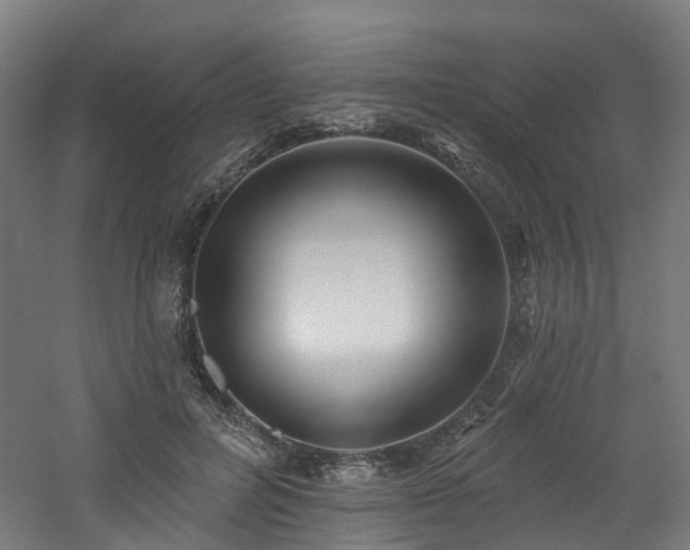 X0000060760600200511101142