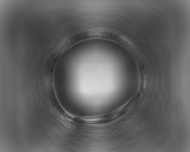 X0000060760601200511101142