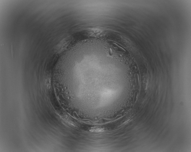 X0000060760602200511101142