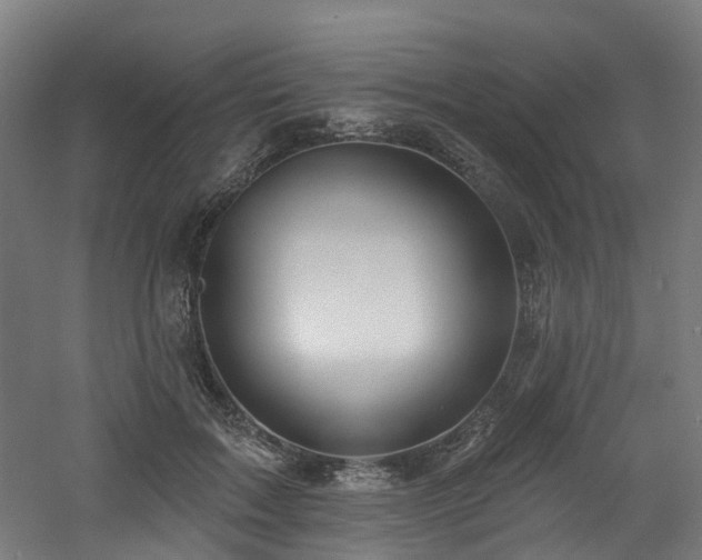 X0000060760603200511101142