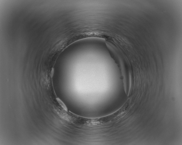 X0000060760607200511101142