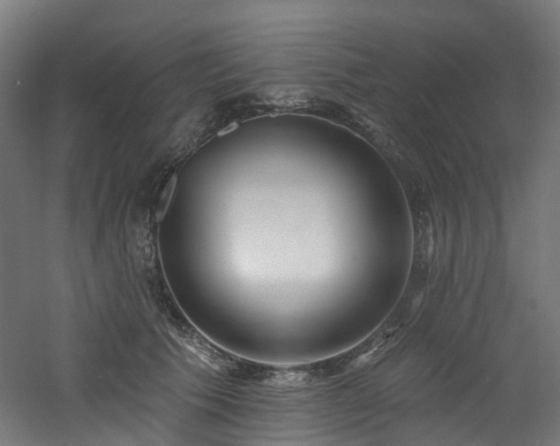 X0000060760609200511101142