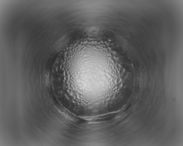 X0000060760610200511101142