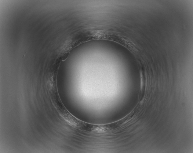 X0000060760611200511101142