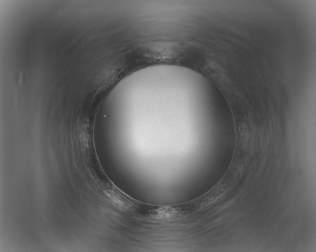 X0000060760612200511101142