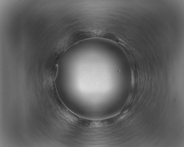 X0000060760613200511101142