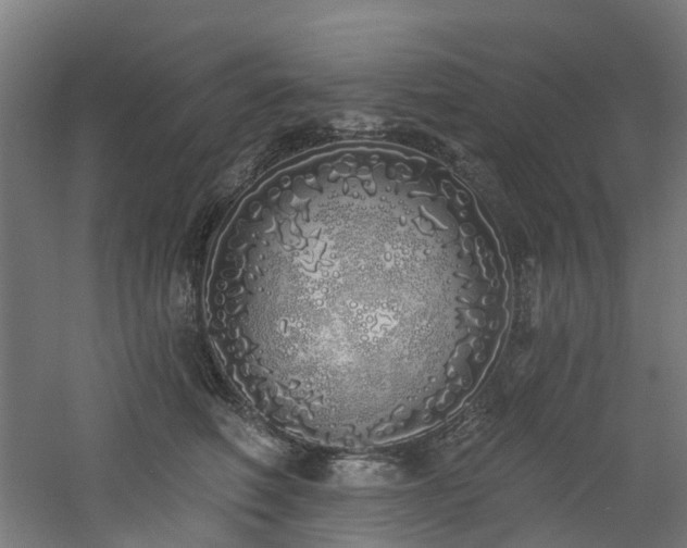 X0000060760614200511101142