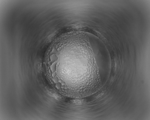 X0000060760615200511101142