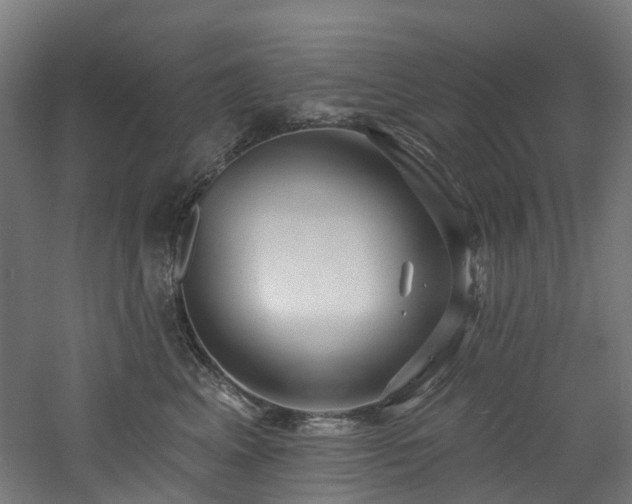 X0000060760617200511101142