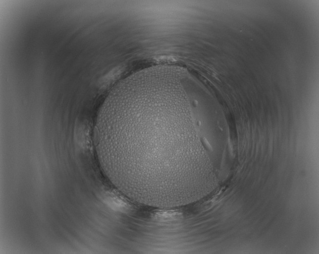 X0000060760619200511101142