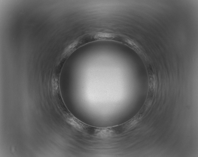 X0000060760621200511101142