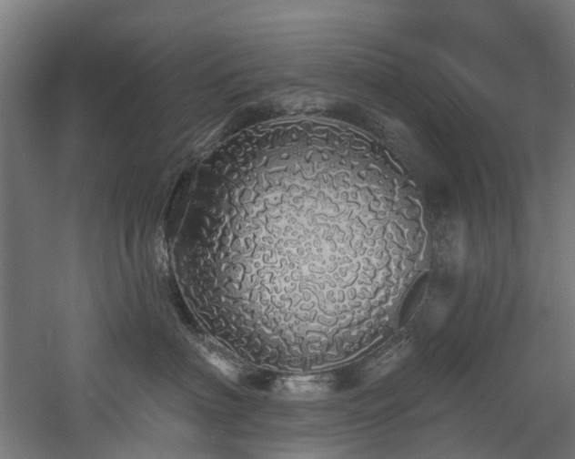 X0000060760622200511101142