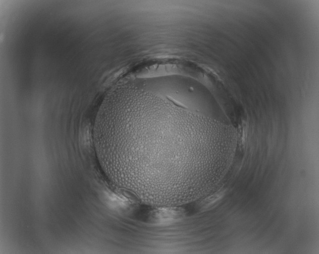 X0000060760623200511101142