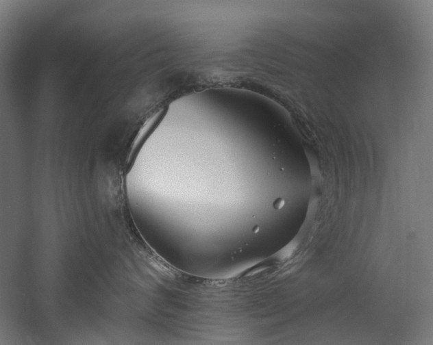 X0000060760624200511101142