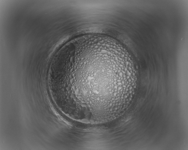 X0000060760625200511101141