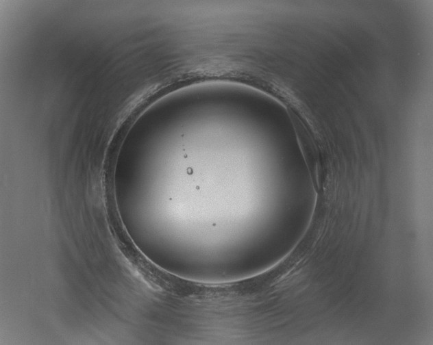 X0000060760626200511101141