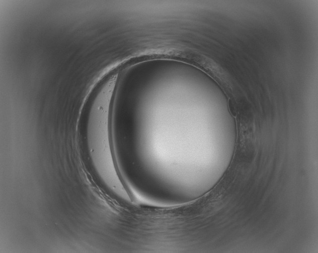 X0000060760628200511101141