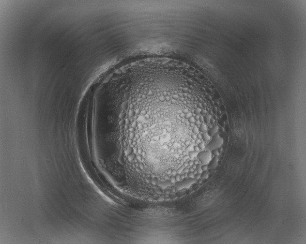 X0000060760630200511101141