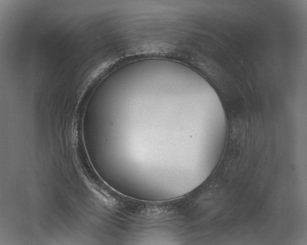 X0000060760632200511101141