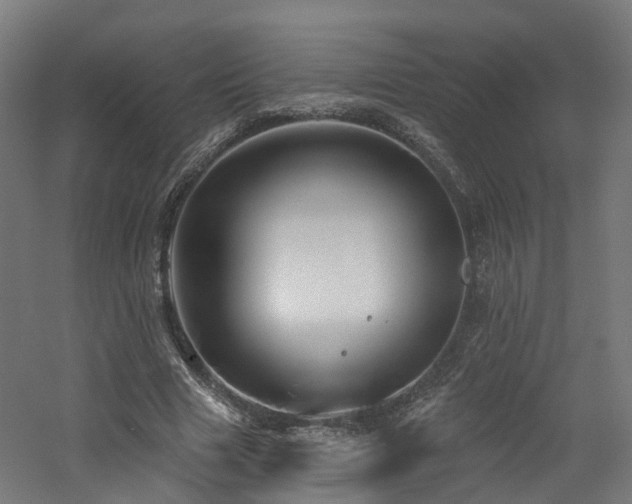 X0000060760633200511101141