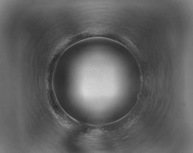 X0000060760635200511101141