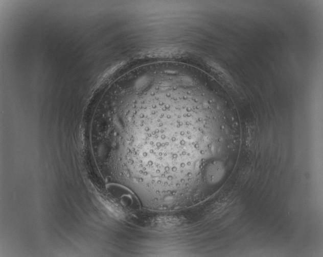 X0000060760636200511101141