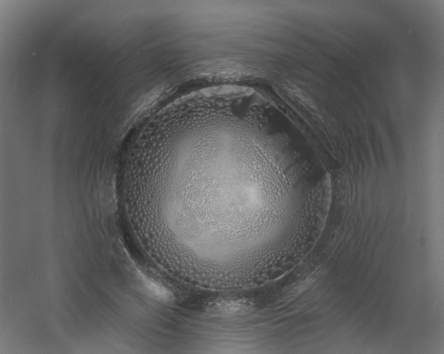 X0000060760638200511101141