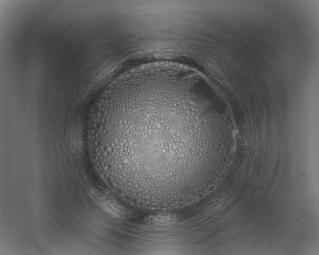 X0000060760639200511101141