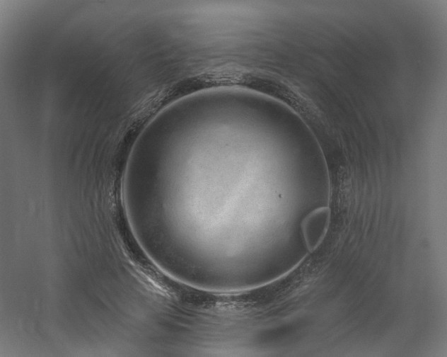 X0000060760641200511101141