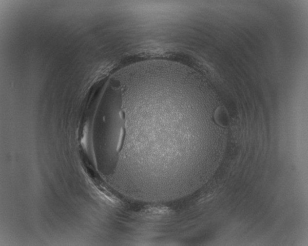 X0000060760642200511101141