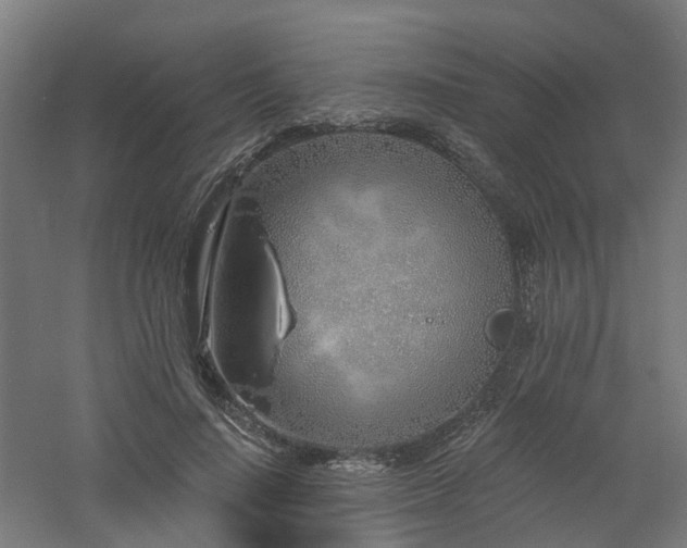 X0000060760644200511101141