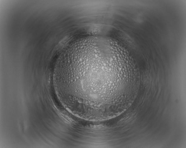 X0000060760645200511101141