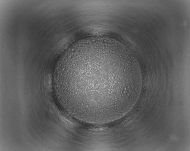 X0000060760646200511101141