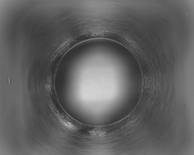 X0000060760648200511101141