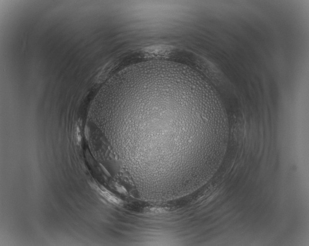 X0000060760649200511101141