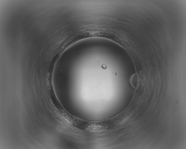 X0000060760650200511101141