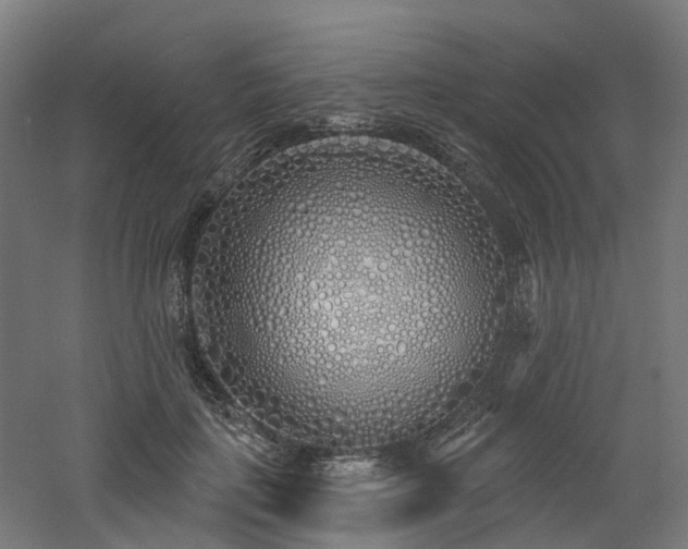 X0000060760651200511101141