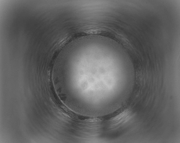 X0000060760652200511101141