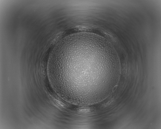 X0000060760653200511101141