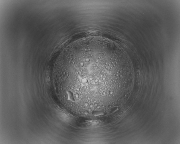 X0000060760654200511101141